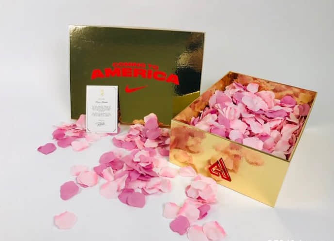 Nike Paramount Pictures x Zoom Freak 1 'Coming To America' BQ5422-900 - Limited Edition Basketball Shoes Nike Paramount Pictures x Zoom Freak 1 'Coming To America' BQ5422-900 - Limited Edition Basketball Shoes